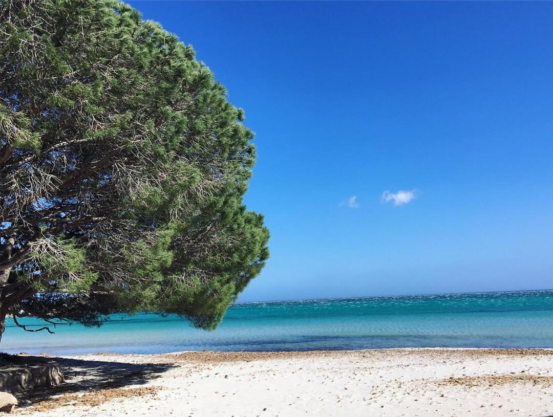 Appartement Proche Des Plus Belles Plages Porto-Vecchio  Dış mekan fotoğraf