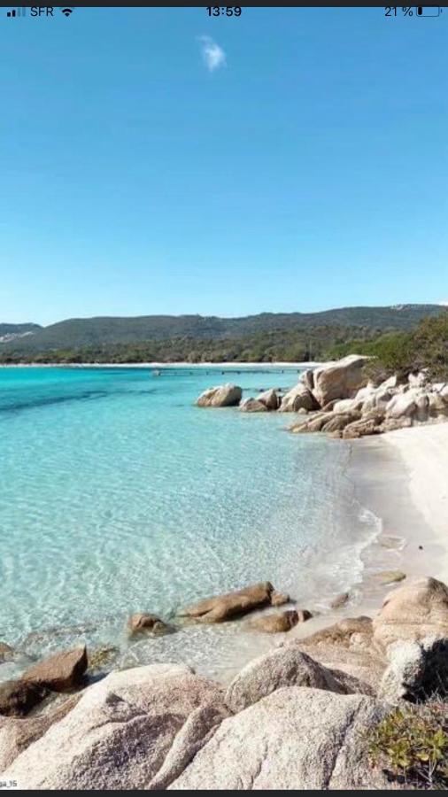 Appartement Proche Des Plus Belles Plages Porto-Vecchio  Dış mekan fotoğraf